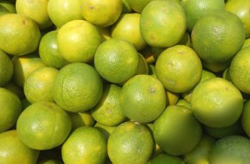 Organic Sweet Lime (मौसंबी) 1kg
